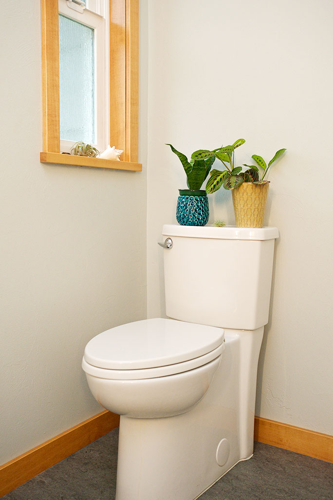 Bathroom Remodeling Cadet 3 Concealed Trapway Toilet